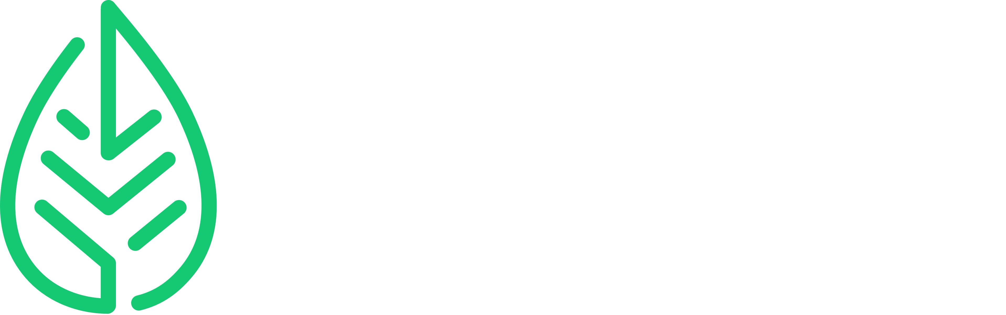 Testleaf